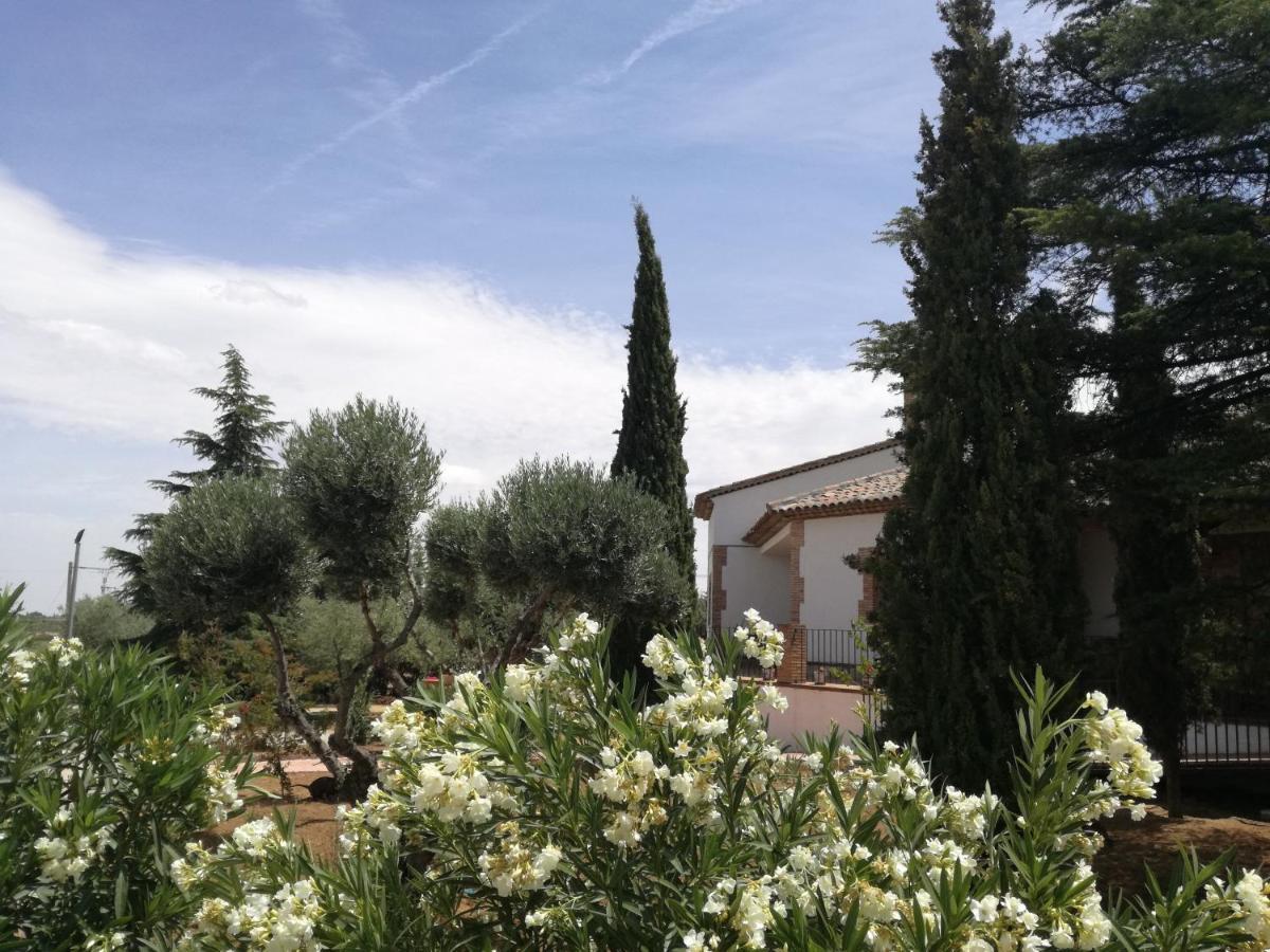 Casa Rural La Amistad Villa Burguillos de Toledo Ngoại thất bức ảnh