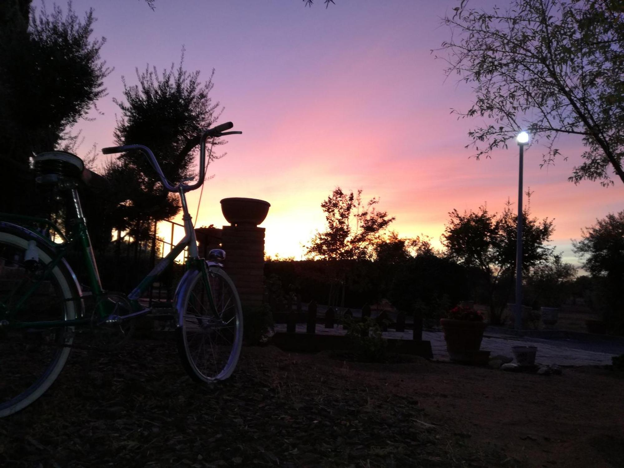 Casa Rural La Amistad Villa Burguillos de Toledo Ngoại thất bức ảnh