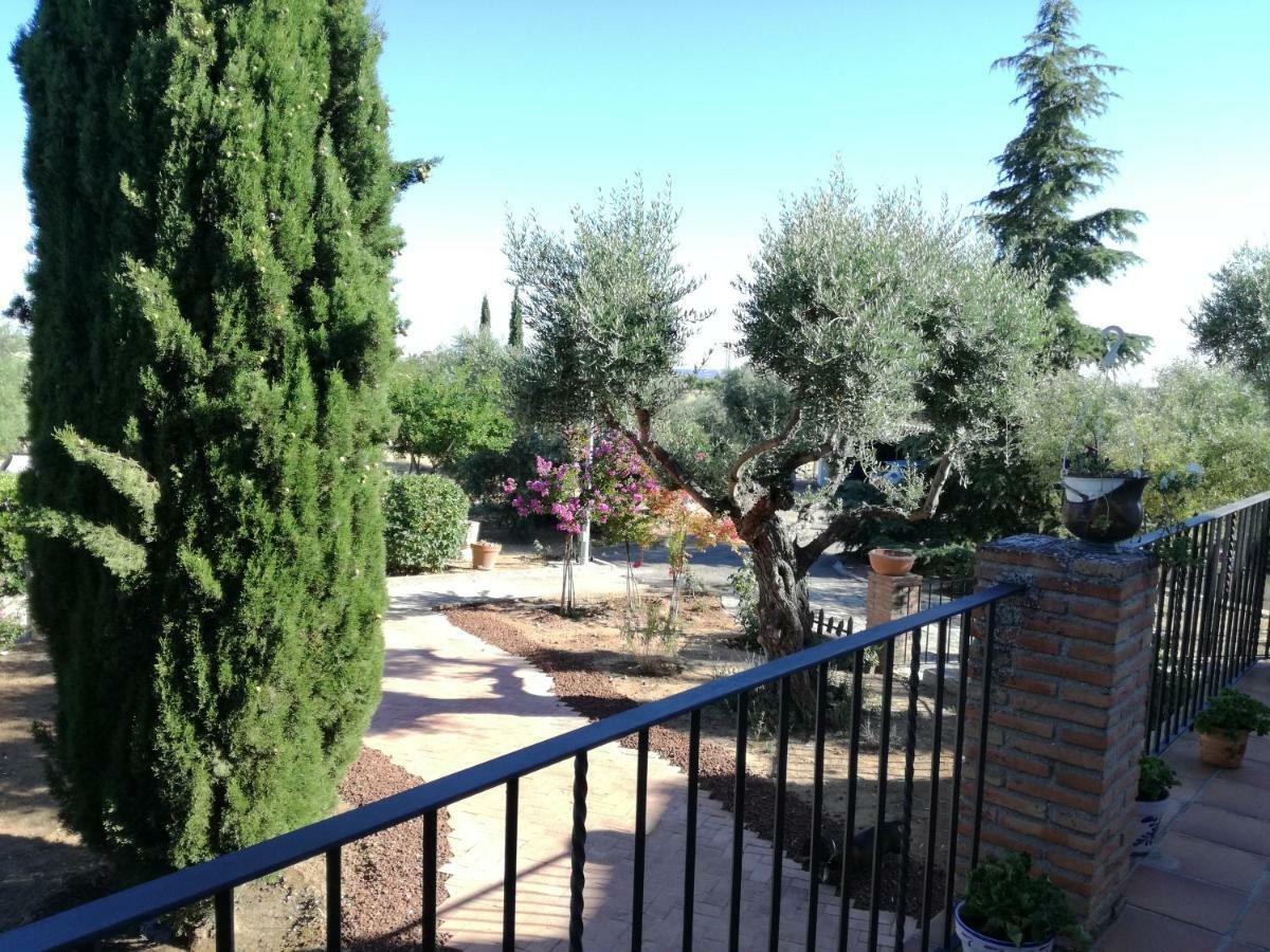 Casa Rural La Amistad Villa Burguillos de Toledo Ngoại thất bức ảnh