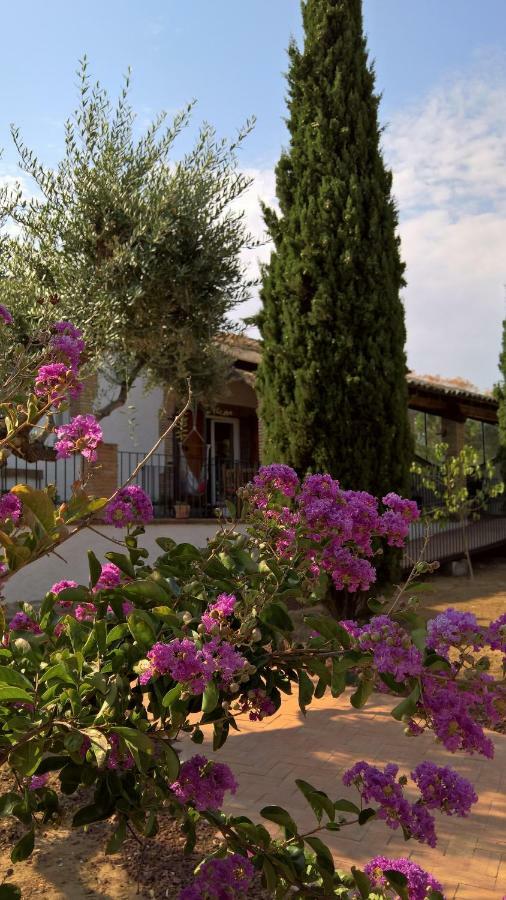 Casa Rural La Amistad Villa Burguillos de Toledo Ngoại thất bức ảnh