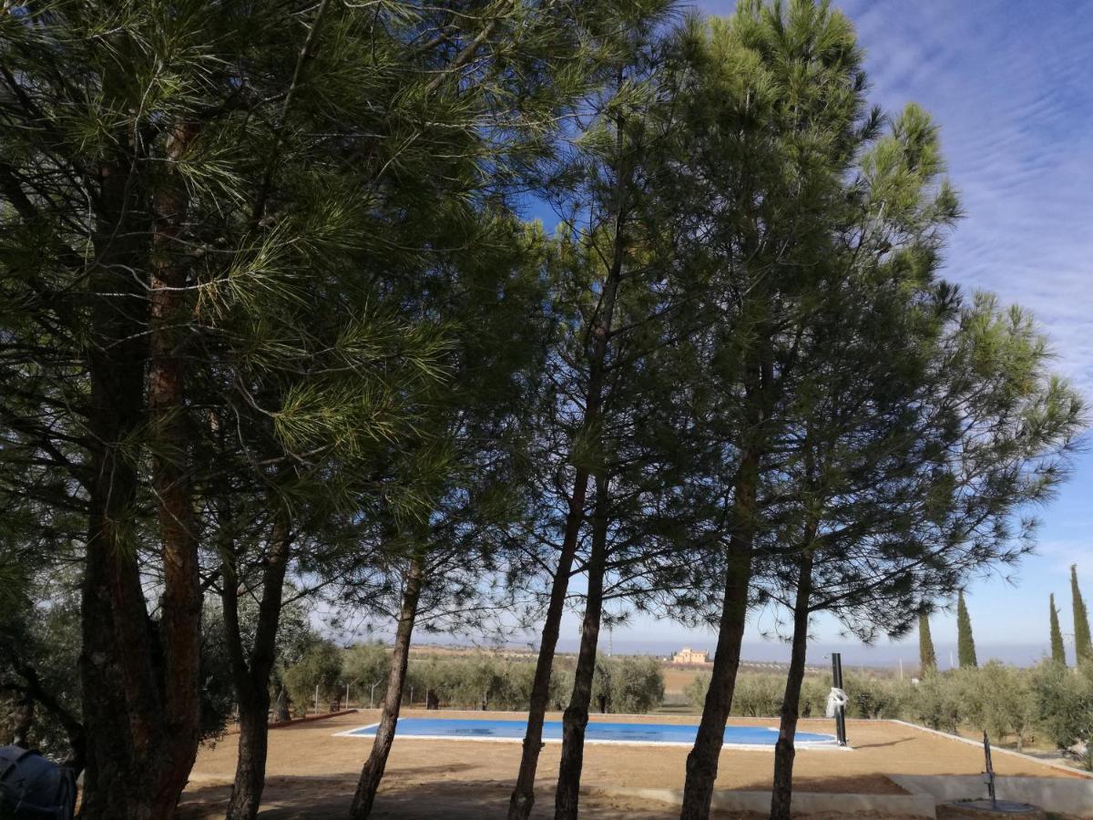 Casa Rural La Amistad Villa Burguillos de Toledo Ngoại thất bức ảnh